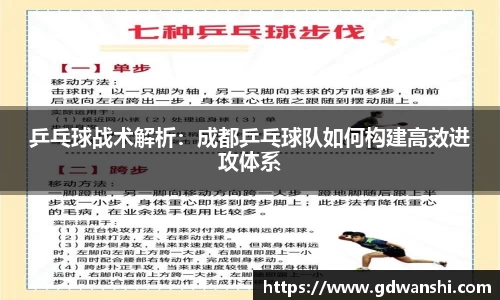 乒乓球战术解析：成都乒乓球队如何构建高效进攻体系