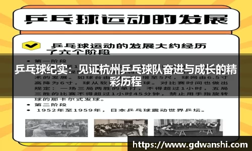 乒乓球纪实：见证杭州乒乓球队奋进与成长的精彩历程